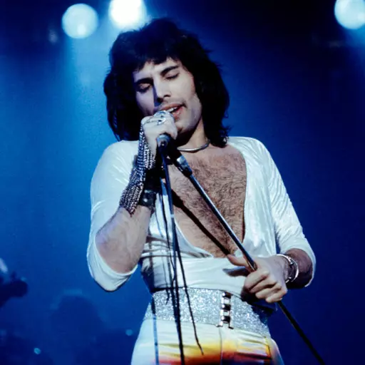 UPDATED Freddie Mercury 1974-1977