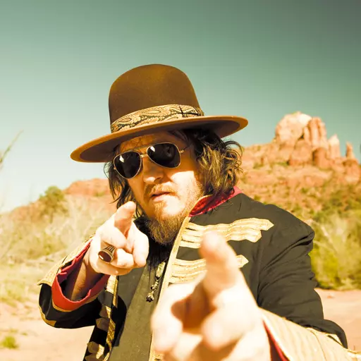 Zucchero (Italian singer)