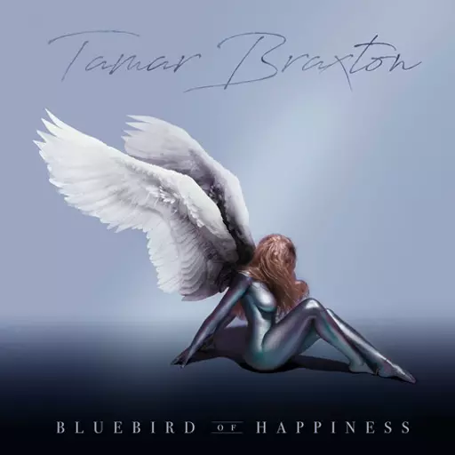 tamar braxton "bluebird of happiness" era, (revamped model)