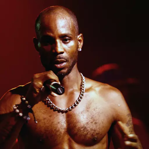 DMX