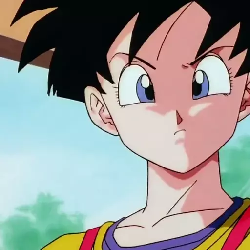 Videl (DBZ/DBS)