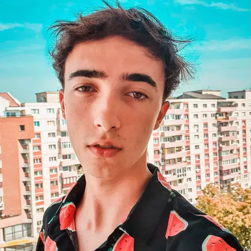 Razvan Gogan (Romanian Vlogger)