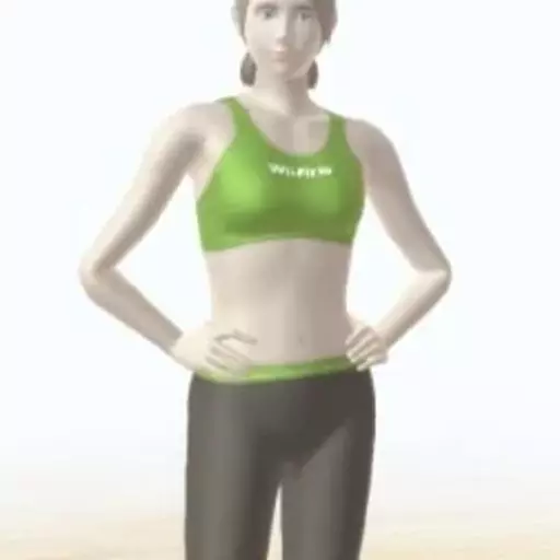 Wii Fit Trainer