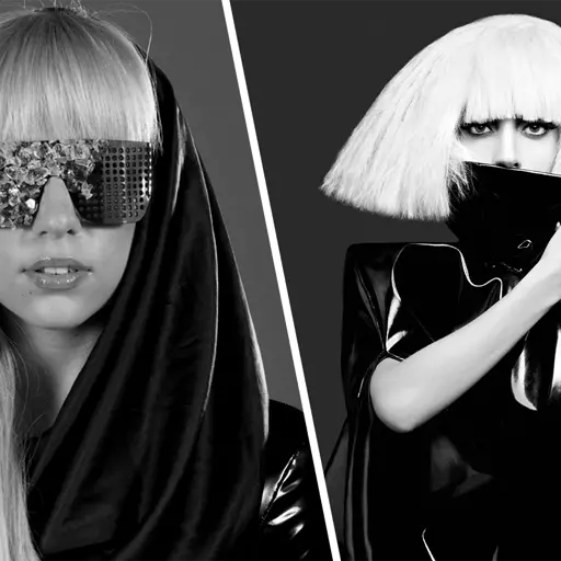 Lady Gaga (The Fame / The Fame Monster Era)