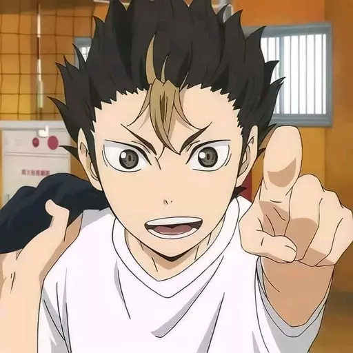 Nishinoya Yuu (Haikyuu) (JP)