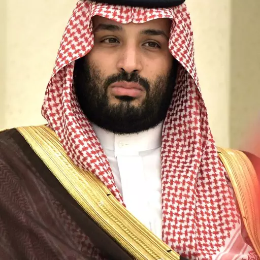 Crown Prince Mohammed bin Salman Al Saud - KSA Heir - (ARA)