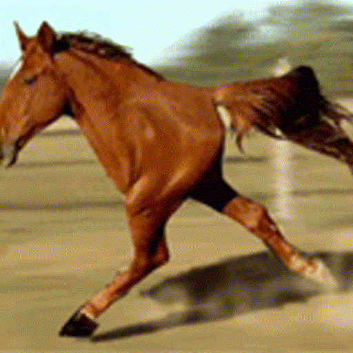 Retarded Running Horse