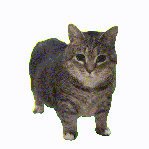 OIIA Cat Meme