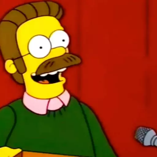 Ned Flanders (The Simpsons)