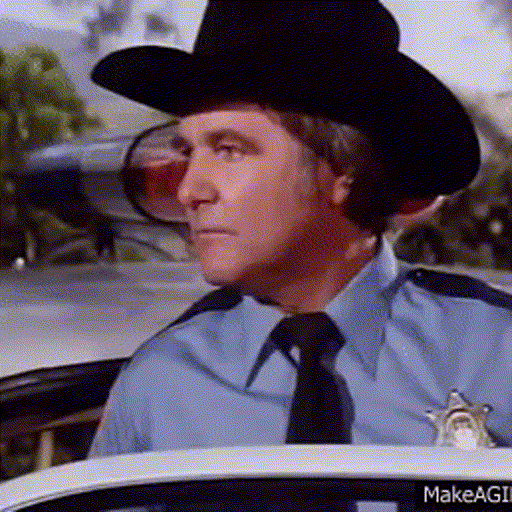 Sheriff Rosco P. Coltrane [The Dukes of Hazzard | James Best]