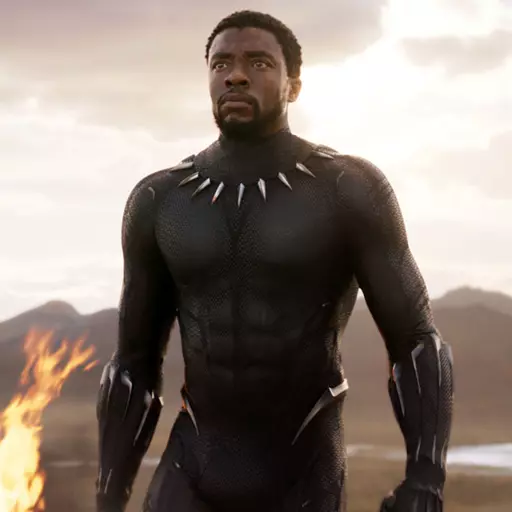 Black Panther (Chadwick Boseman)