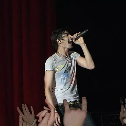 Tyson Ritter (The All-American Rejects)