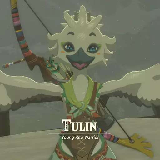 Tulin (Tears of The Kingdom)