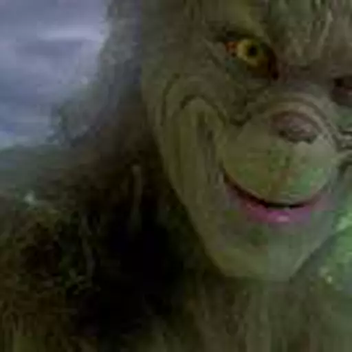 Grinch ( how Grinch stole christmas)