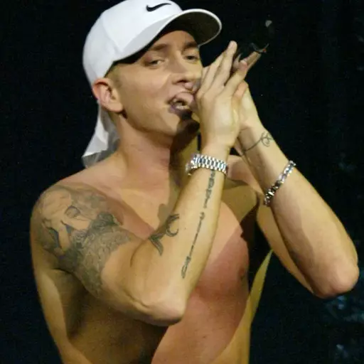 Eminem (2002)