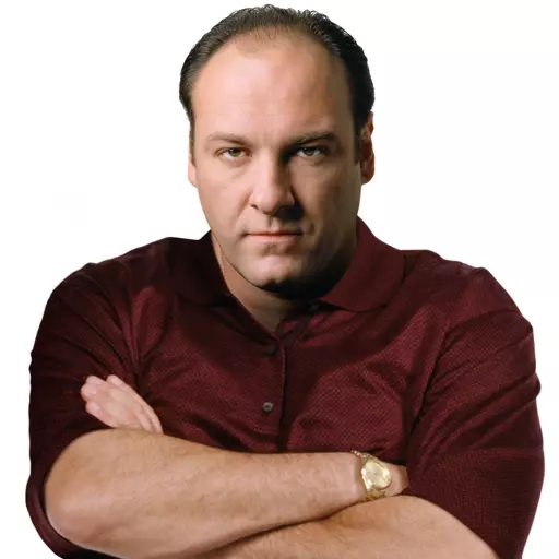 Tony Soprano From The Sopranos