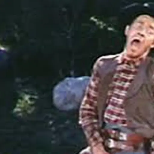 Wilhelm Scream