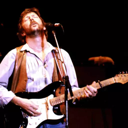 Eric Clapton (SLOWHAND ERA)