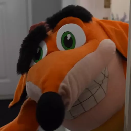 Crash Woah Meme