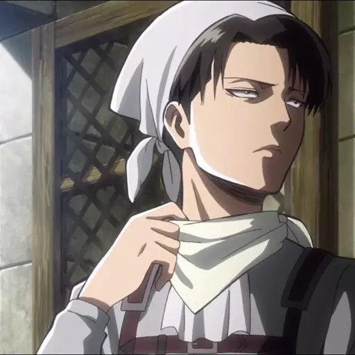 Levi Ackerman (Attack on Titan) (JP)