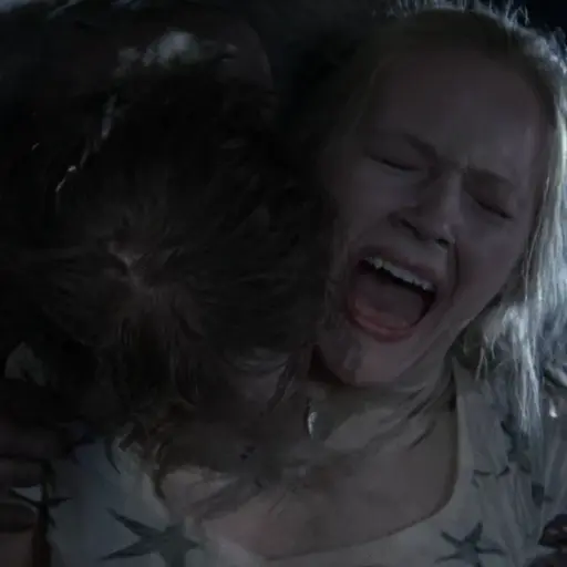 Amy Harrison (The Walking Dead)