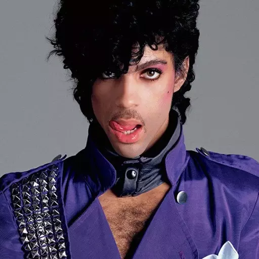 Prince Rogers /Purple Rain Era