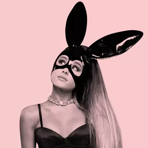 Ariana Grande - (Mostly) Dangerous Woman Era