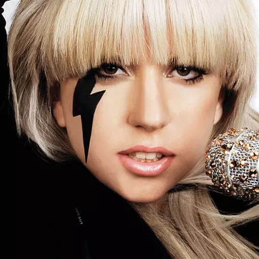 Lady Gaga | The Fame Era