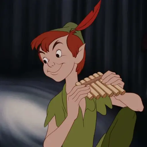 Peter Pan (Blayne Weaver, Disney's Peter Pan)