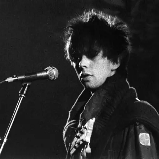 Ian McCulloch - Echo and The Bunnymen (1981)