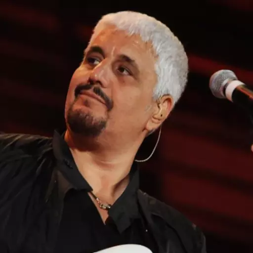 Pino Daniele (Italian Singer)