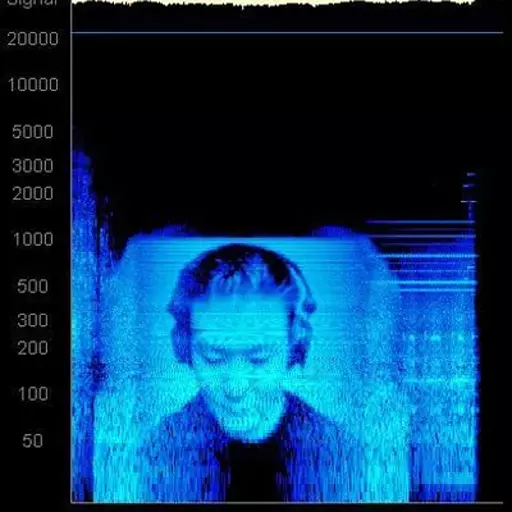 literally Image Spectrograms