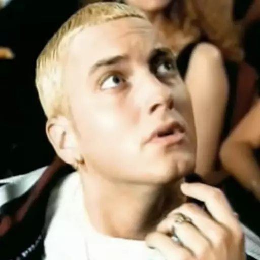 Eminem MMLP Era