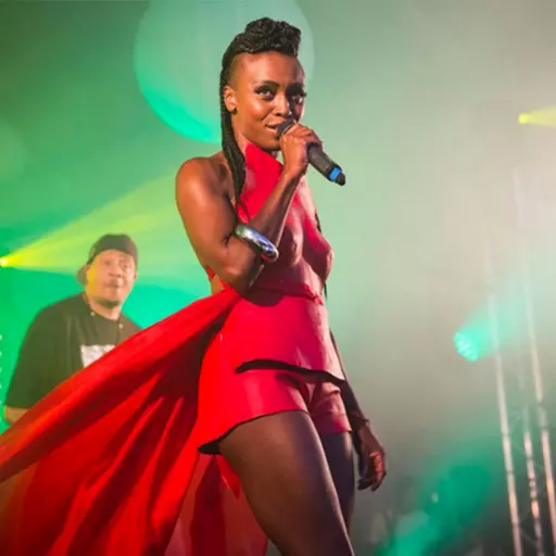 Morcheeba (Blood Like Lemonade)