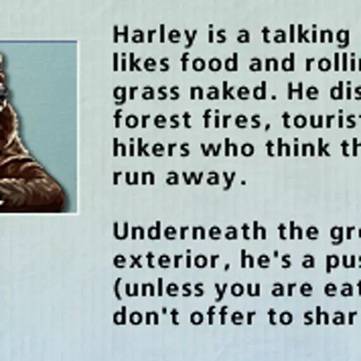 Harley the Bear (Hoyle Card Games)