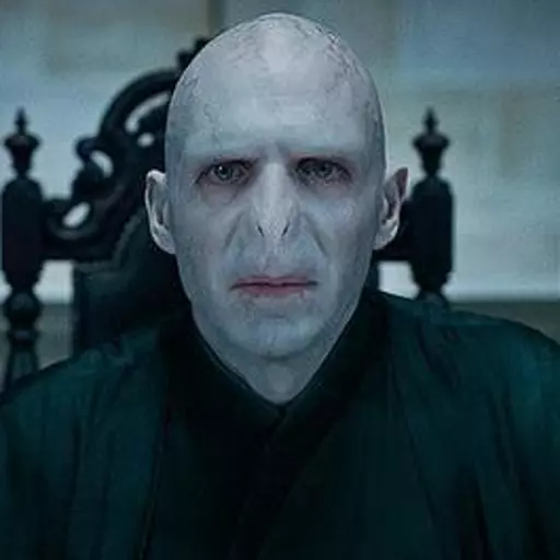 Lord Voldemort (Harry Potter)