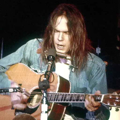 Neil Young (Era [not trained on but trained on the albu