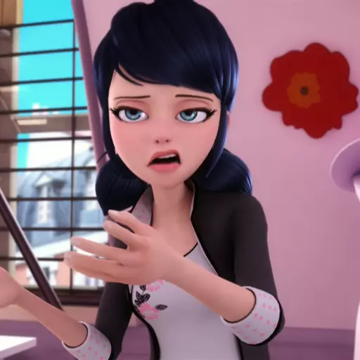 Marinette Dupain-Cheng (From Miraculous Ladybug)