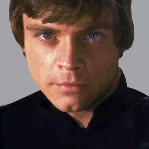 Luke Skywalker (Star Wars ESB/RotJ) {}