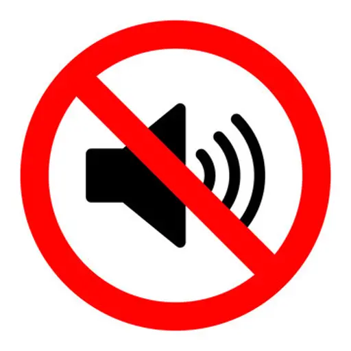 No Audio