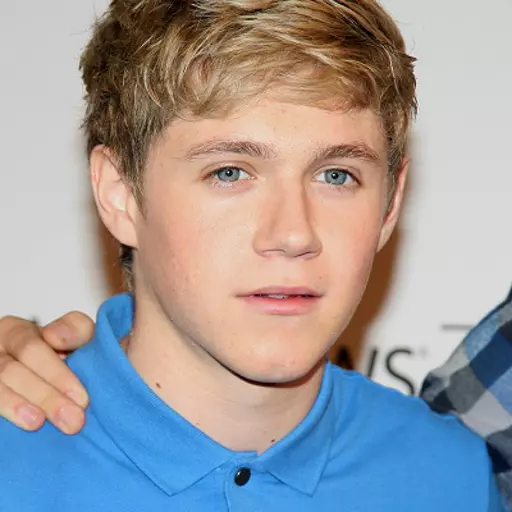 1D Up All Night era Niall Horan