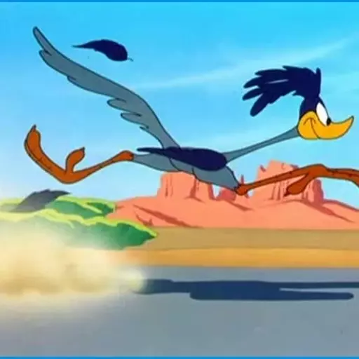 The Road Runner (Looney Tunes)