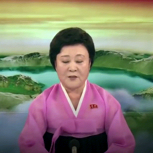 Ri Chun-hee (North Korean Newslady)
