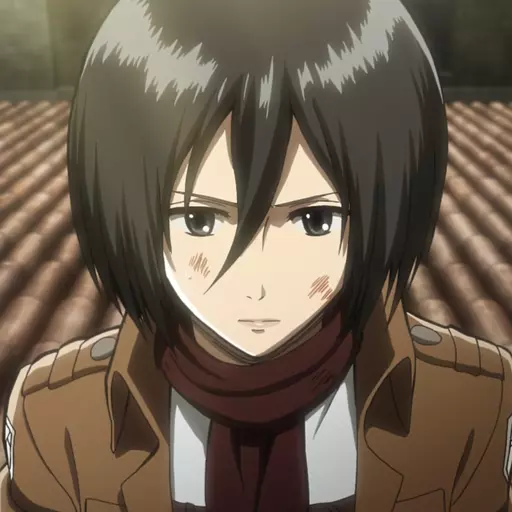 Mikasa Ackerman (Attack on Titan) (JP)