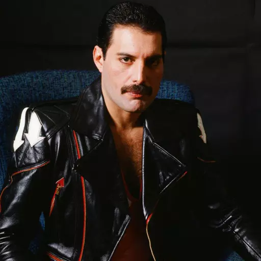 Freddie Mercury 1979-1982 era