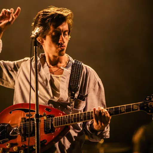 Alex Turner (Arctic Monkeys) MODERN ERA