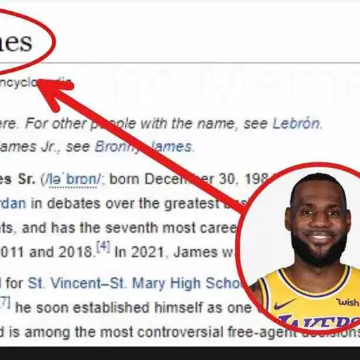 LeBron James (MultiVerSUS)