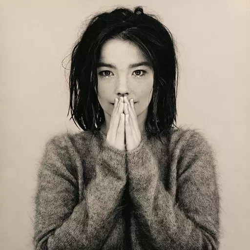 Björk (Debut era)