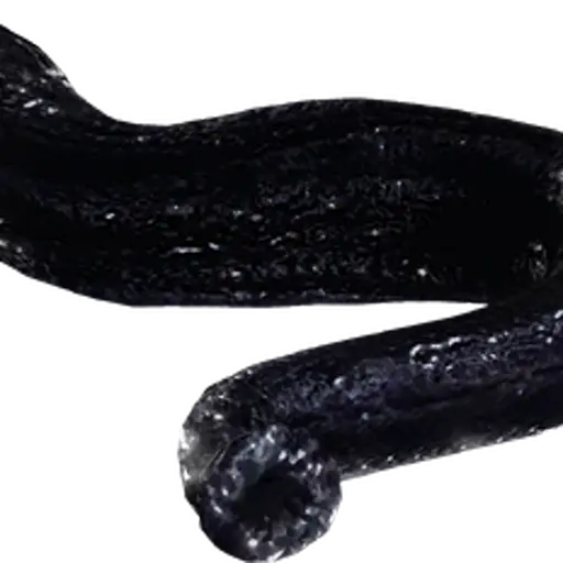 Leech (Little Nightmares)