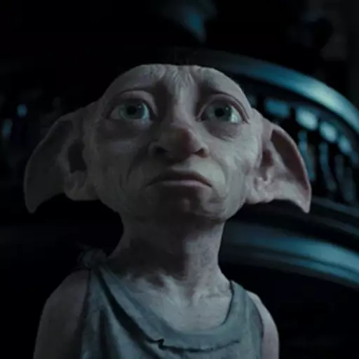 Dobby (French dub)